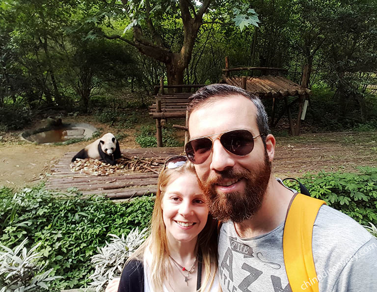 Our customer's family trip in Chengdu Panda Base