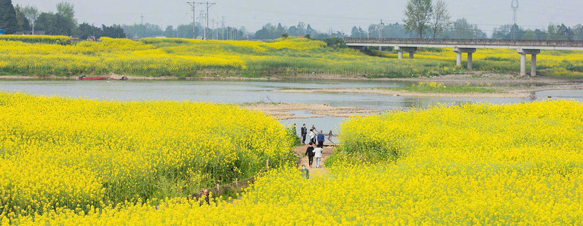 Chengdu Spring