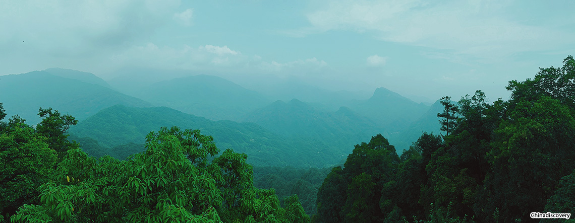 Chengdu Summer