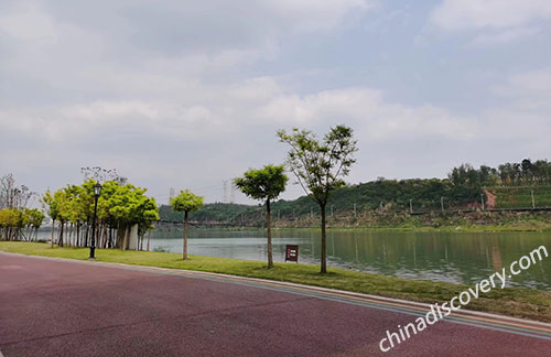 Chengdu Travel Guide 2025 - Bike in Chengdu Suburb