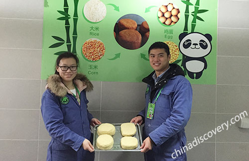 Chengdu Travel Guide 2025 - Panda Volunteer