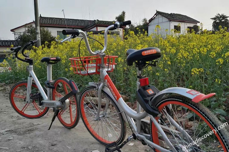 Chengdu Biking Greenways