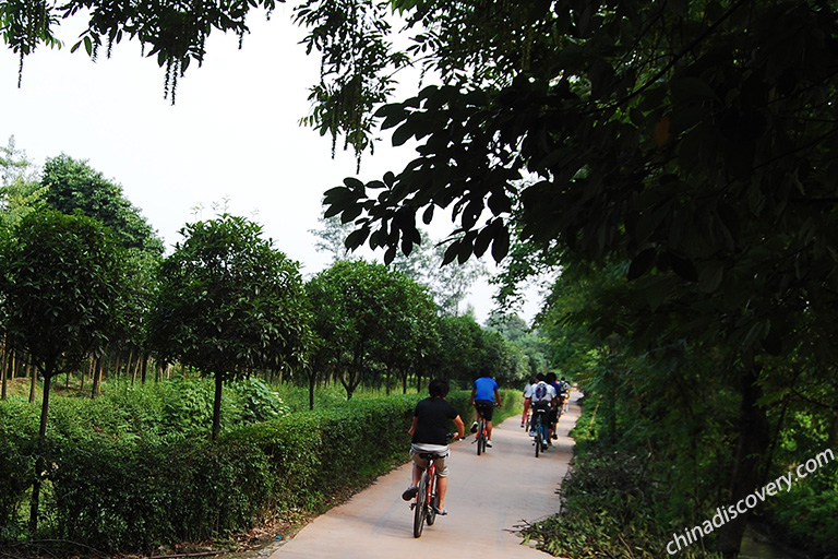 Chengdu Biking Greenway