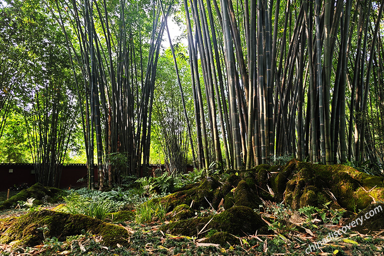 Wangjianglou Park