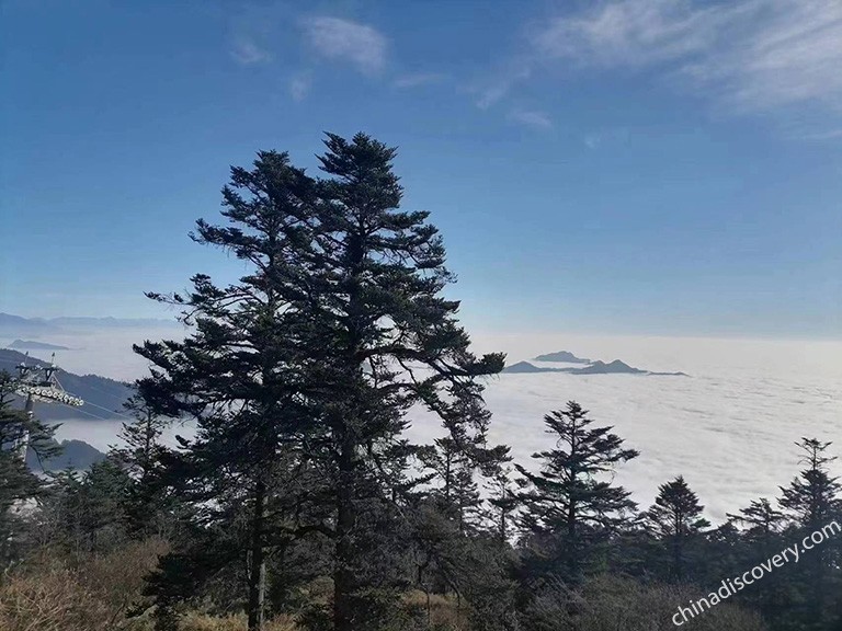 Xiling Snow Mountain - Sea of Clouds