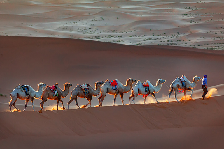 Inner Mongolia Deserts