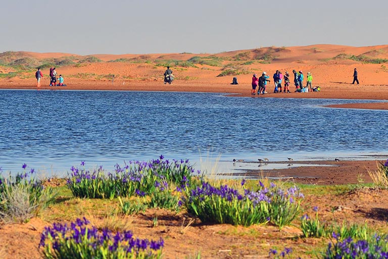 Inner Mongolia Deserts