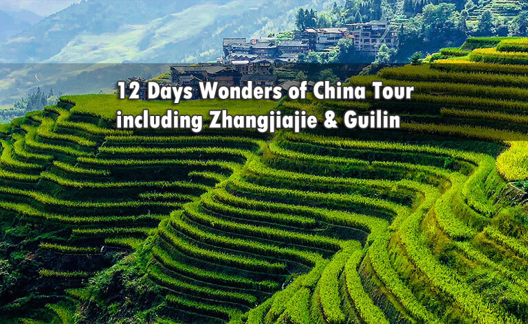 China Tours for Expats 2022