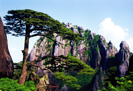 Huangshan High Speed Trains