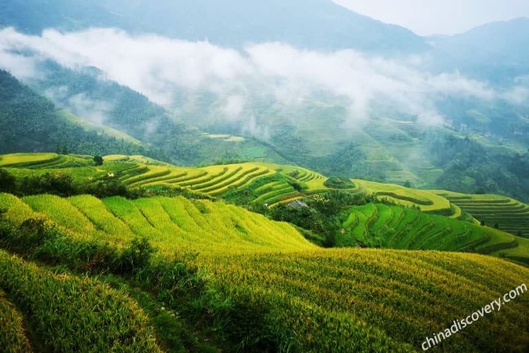 Long Ji Rice Terraces