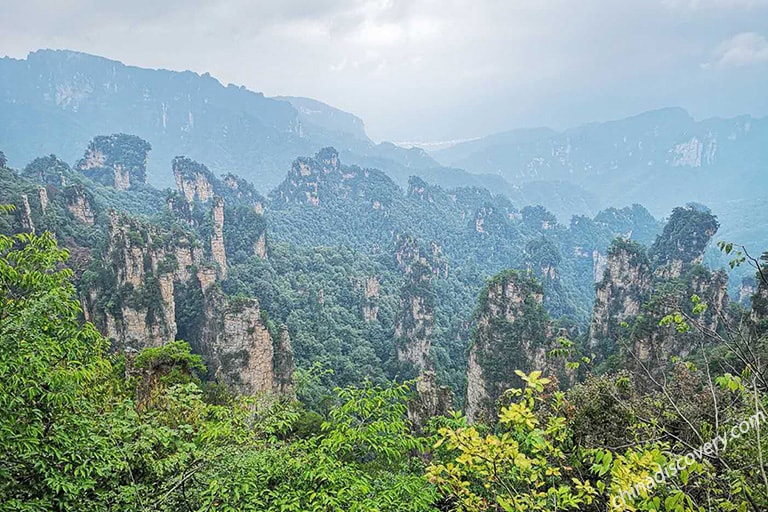 Tianzi Mountain's Forests Taken by Chona from Philippines in September, 2018