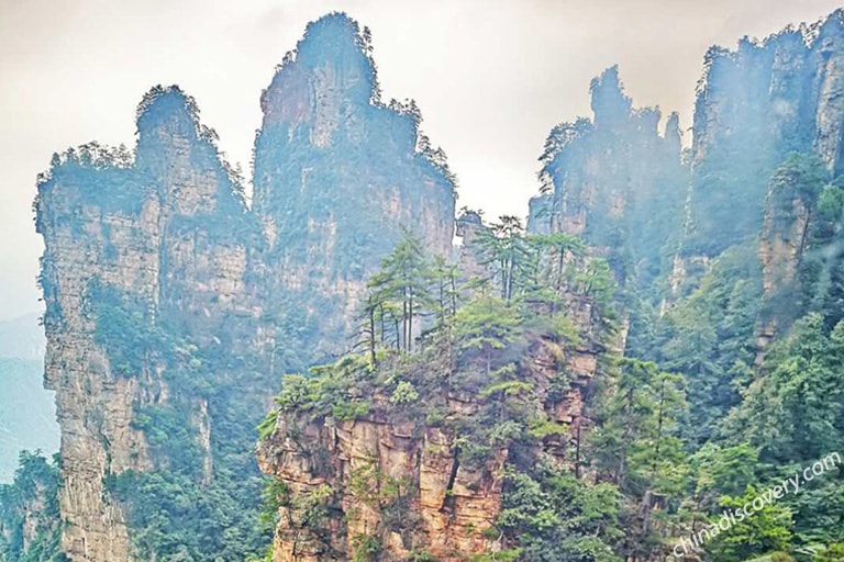 Tianzi Mountain Pillar Forest Taken by Chona from Philippines in September, 2018