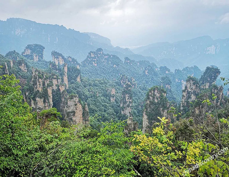 Chona from Philippines - Tianzi Mountain's Forests, Zhangjiajie