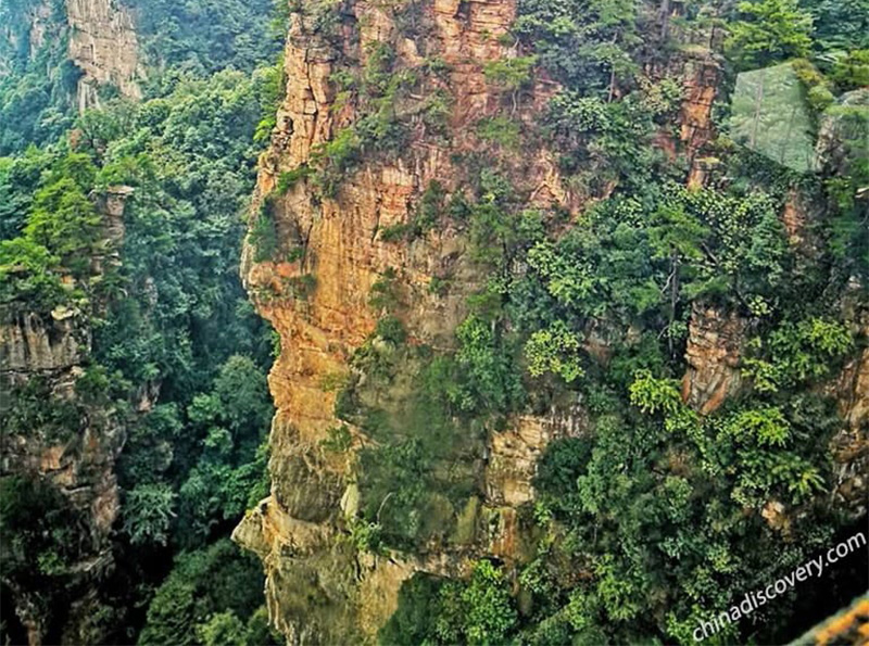 Tianzi Mountain