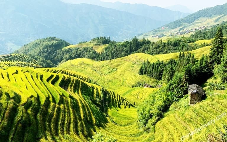 Caryn from Australia - Longji Rice Terrices (Seven Stars with Moon)