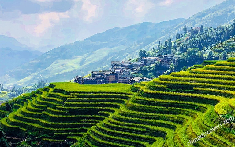 Santos from Canada - The Peaceful Village in  Longji Rice Terraces