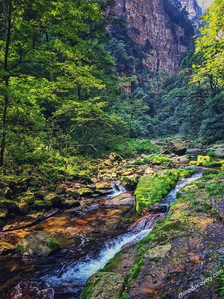 Zhangjiajie National Forest Park