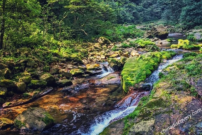 Zhangjiajie Travel Guide - Things to Do