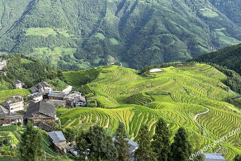 Claire from UK visited Longji Rice Terraces (Pingan, Seven Stars with Moon) in October 2021