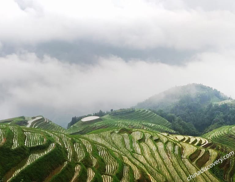 Delma from Ireland - Longji Rice Terrace (Pingan, Seven Stars with Moon), Guilin