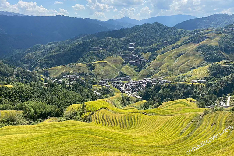 Jenn's family from USA visited Longji Rice Terraces (Jinkeng, Golden Buddha Peak) in October 2022