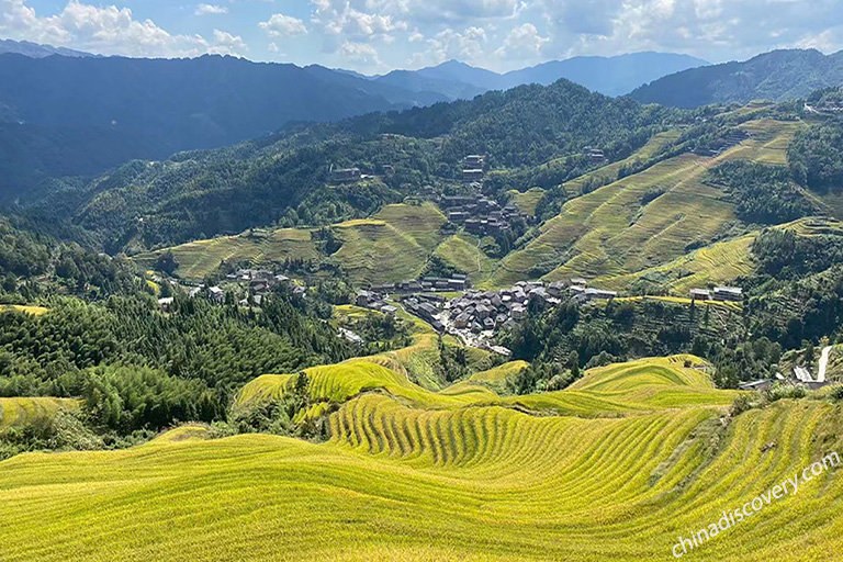 Jenn's Family from USA - Longji Rice Terraces (Jinkeng, Golden Buddha Peak), Guilin