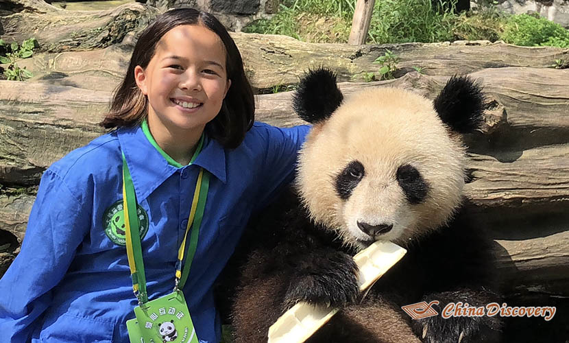 Chengdu Dujiangyan Panda Base