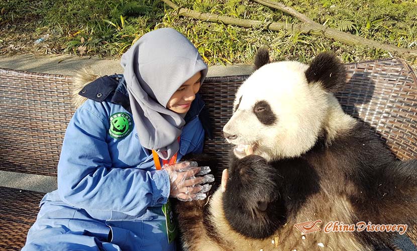 Chengdu Dujiangyan Panda Base