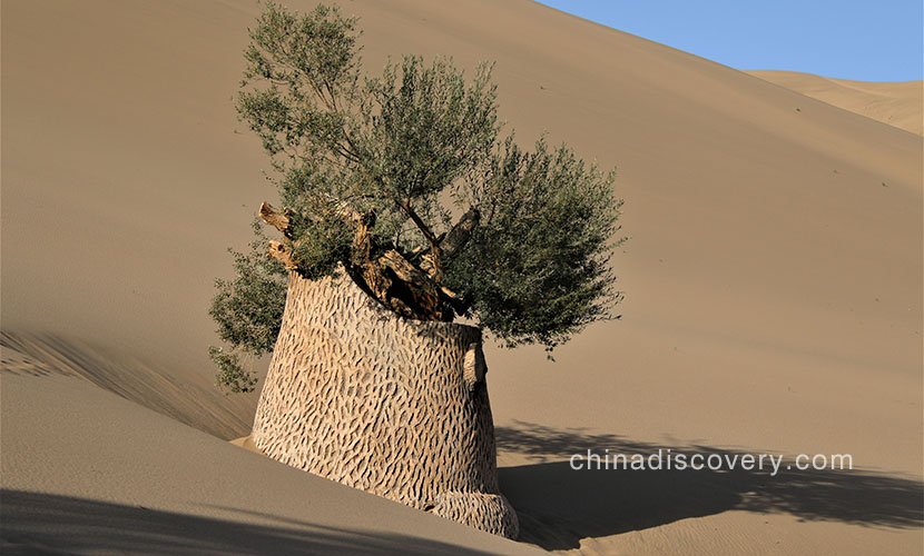Elie from Belge visited Dunhuang Echoing Sand Mountains in November 2019, tour customized by Wonder