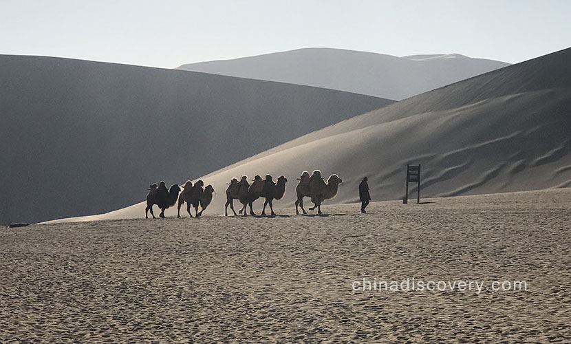 Irene’s group from Malaysia visited Dunhuang Echoing Sand Mountains in November 2019, tour customized by Leo