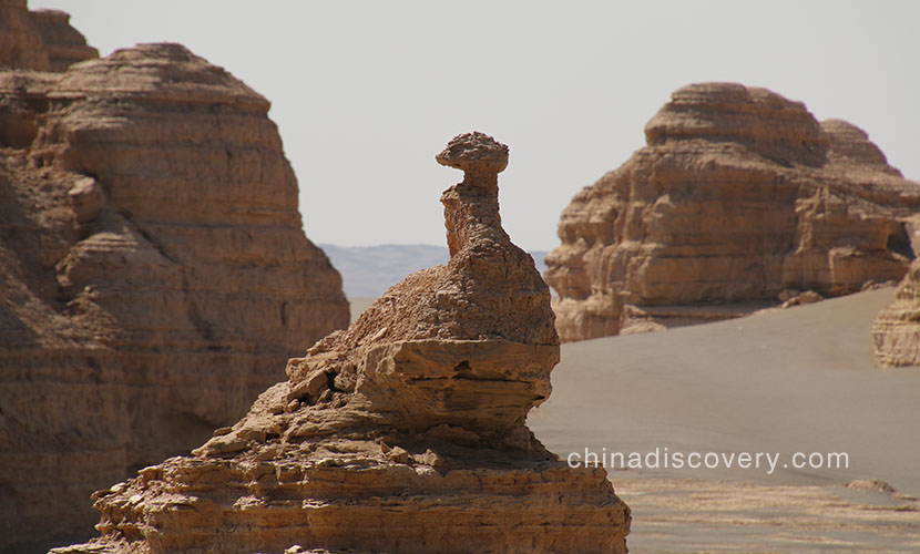 Lan’s group visited Dunhuang Yadan National Geologic Park in 2015