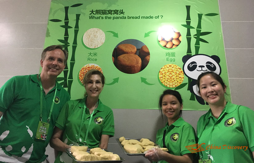 Giant Panda Photo