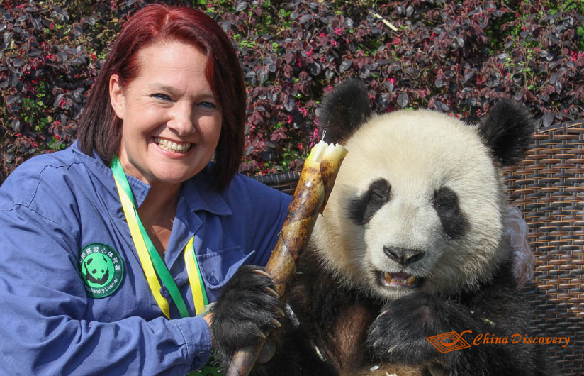 Giant Panda Photo