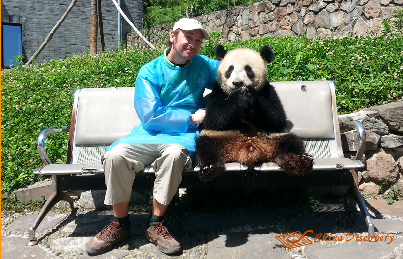Panda Volunteer