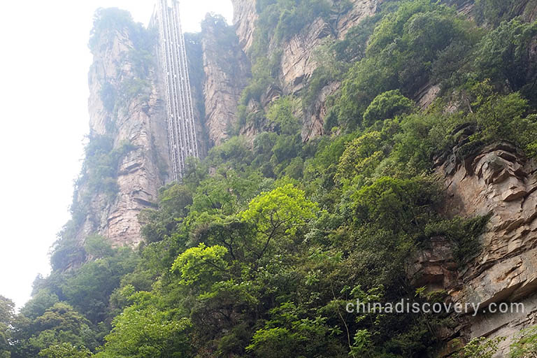 Jenny’s group visited Zhangjiajie National Forest Park in 2019 and took a group photo there, with Bailong Elevator as the backdrop, tour customized by Vivien 