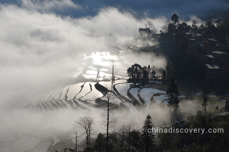 Irena’s group visited Yuanyang Rice Terraces in 2016, tour customized by China Discovery