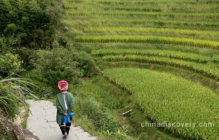 Ping'an Rice Terraces