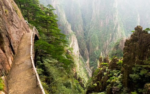 Huangshan Tour