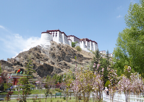 Tibet Tour