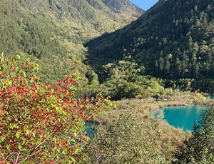 Jiuzhaigou Tour