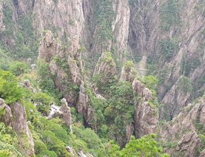 Huangshan Tour