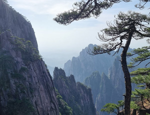 Huangshan Tour