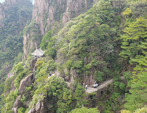 Huangshan Tour