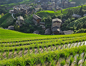 Guilin Tour