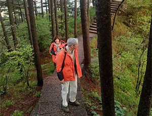 Huangshan Tour