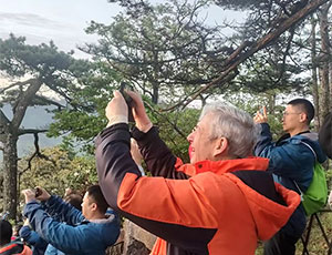 Huangshan Tour