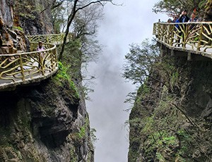 Zhangjiajie Tour