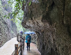 Zhangjiajie Tour