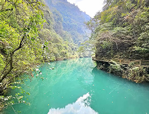 Zhangjiajie Tour