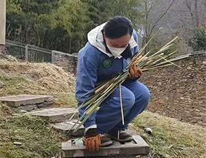 Panda Volunteer Tour